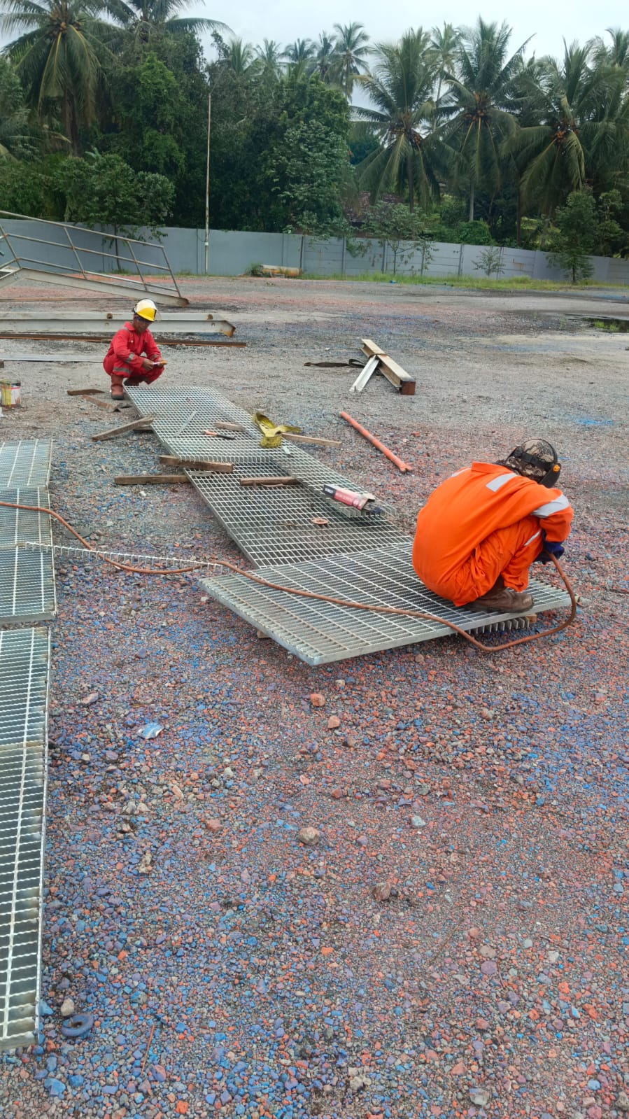 WhatsApp Image 2026-02-20 at 14.55.54